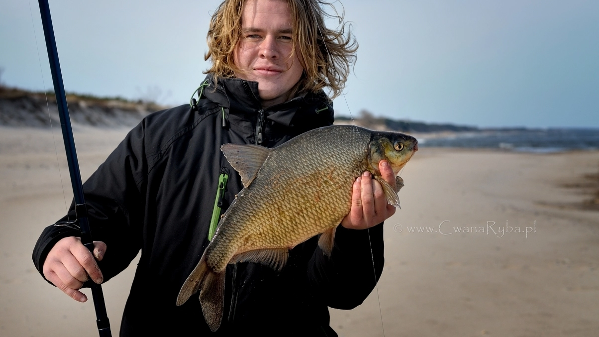 leszcz złowiony w morzu