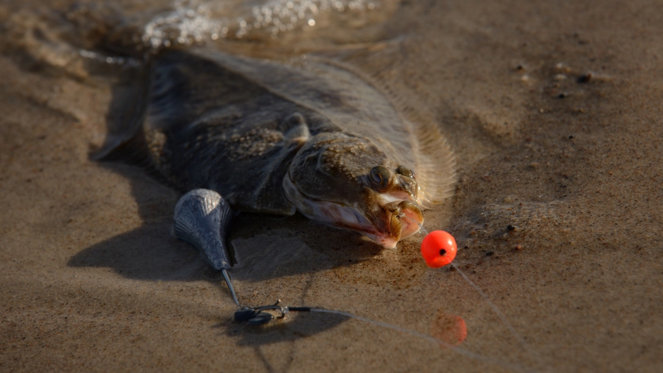 Stornia i zestaw do surfcastingu z pływającą kulką