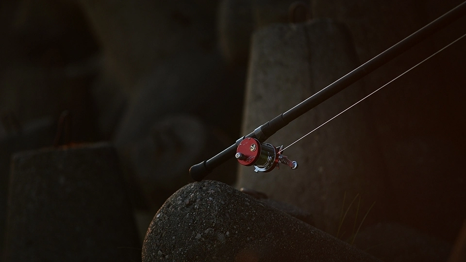 Zdjęcie blanku wędki firmy Dragon