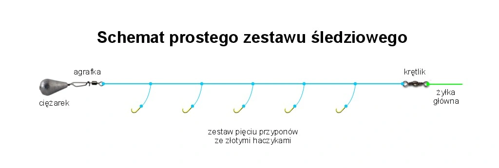 Zestaw śledziowy własnej produkcji