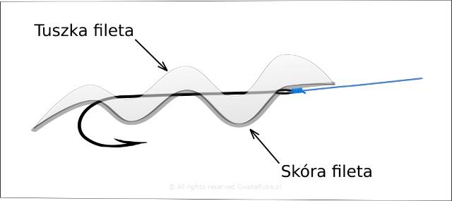 Rysunek fileta ze śledzia z haczykiem wędkarskim