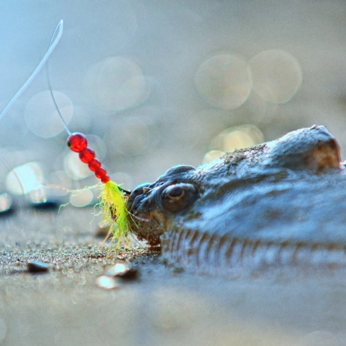 Zestaw na bałtyckie płastugi