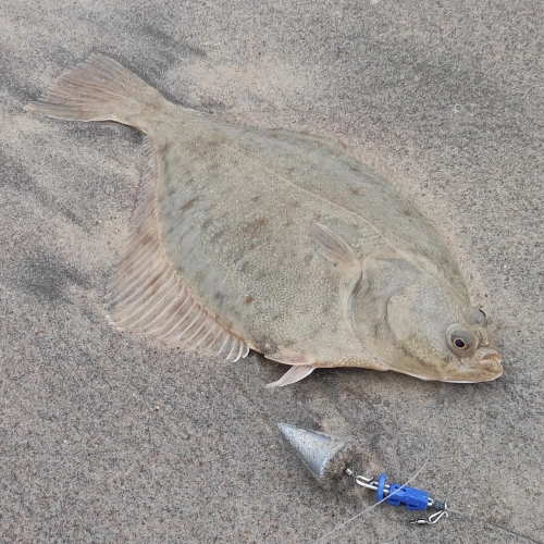 Ciężarek do wędkarstwa morskiego 125g, ciężarek do łowienia ryb z morskiej plaży 125g