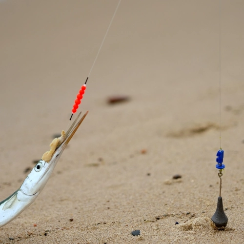 Platessa Fluo Clip Arenic Up C