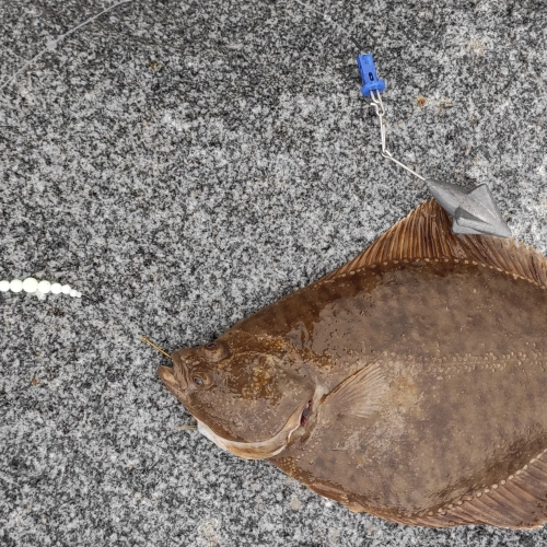 Ciężarek do surfcastingu na flądry Grot Strzały