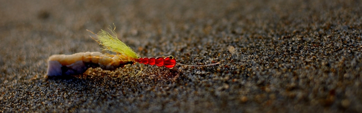 PLATESSA CLIP RED NYMPH C Najnowszy zestaw do połowu fląder