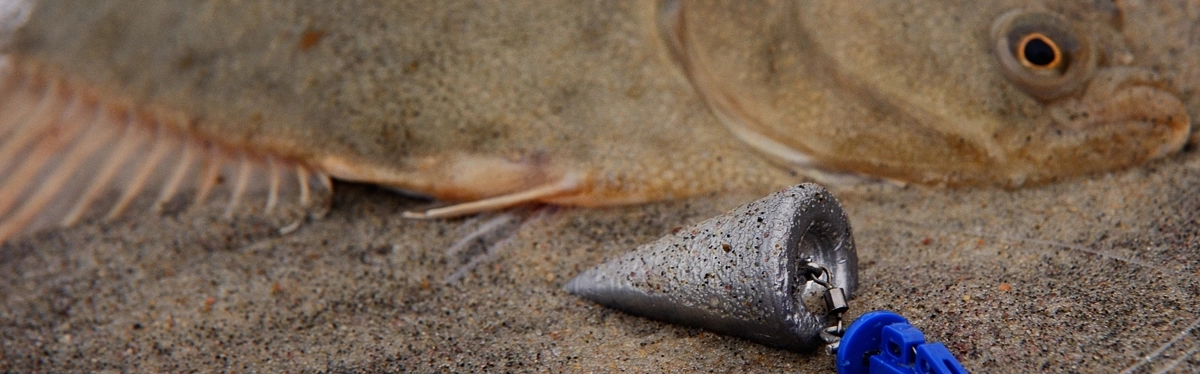Profesjonalne ciężarki morskie do surfcastingu, jedyne takie w naszym kraju!