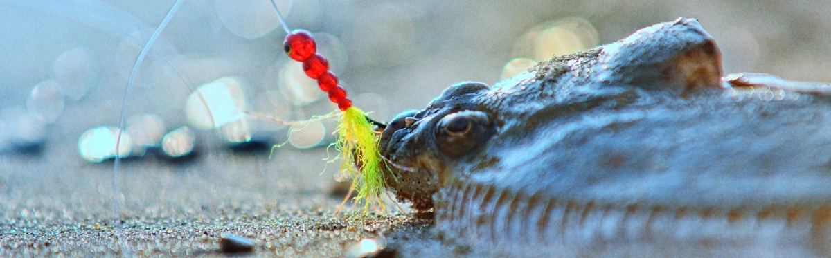 Najlepsze zestawy do surfcastingu na bałtyckie flądry