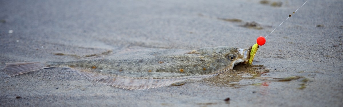 Unikalne zestawy do surfcastingu dla kreatywnych wędkarzy