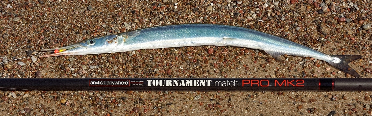 Profesjonalne zestawy surfcastingowe na belony